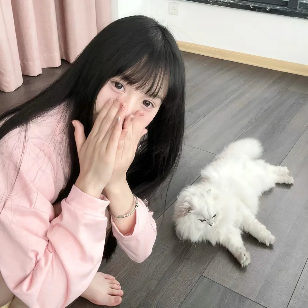 扶桑花女孩